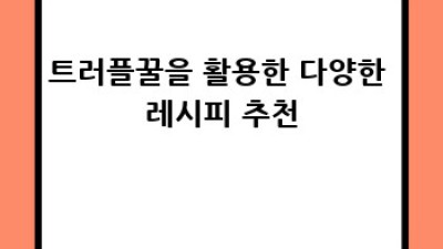 트러플꿀의 모든 것: 종류, 효능, 선택, 활용법 완벽 가이드